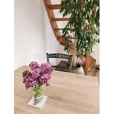 Nyaraló With 2 Bedrooms Bergen aan Zee